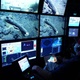Randy Prickett (izquierda) pilota un ROV MBARI, mientras que el científico Steven Haddock (derecha) documenta el colmillo de mamut antes de la operación de recuperación.